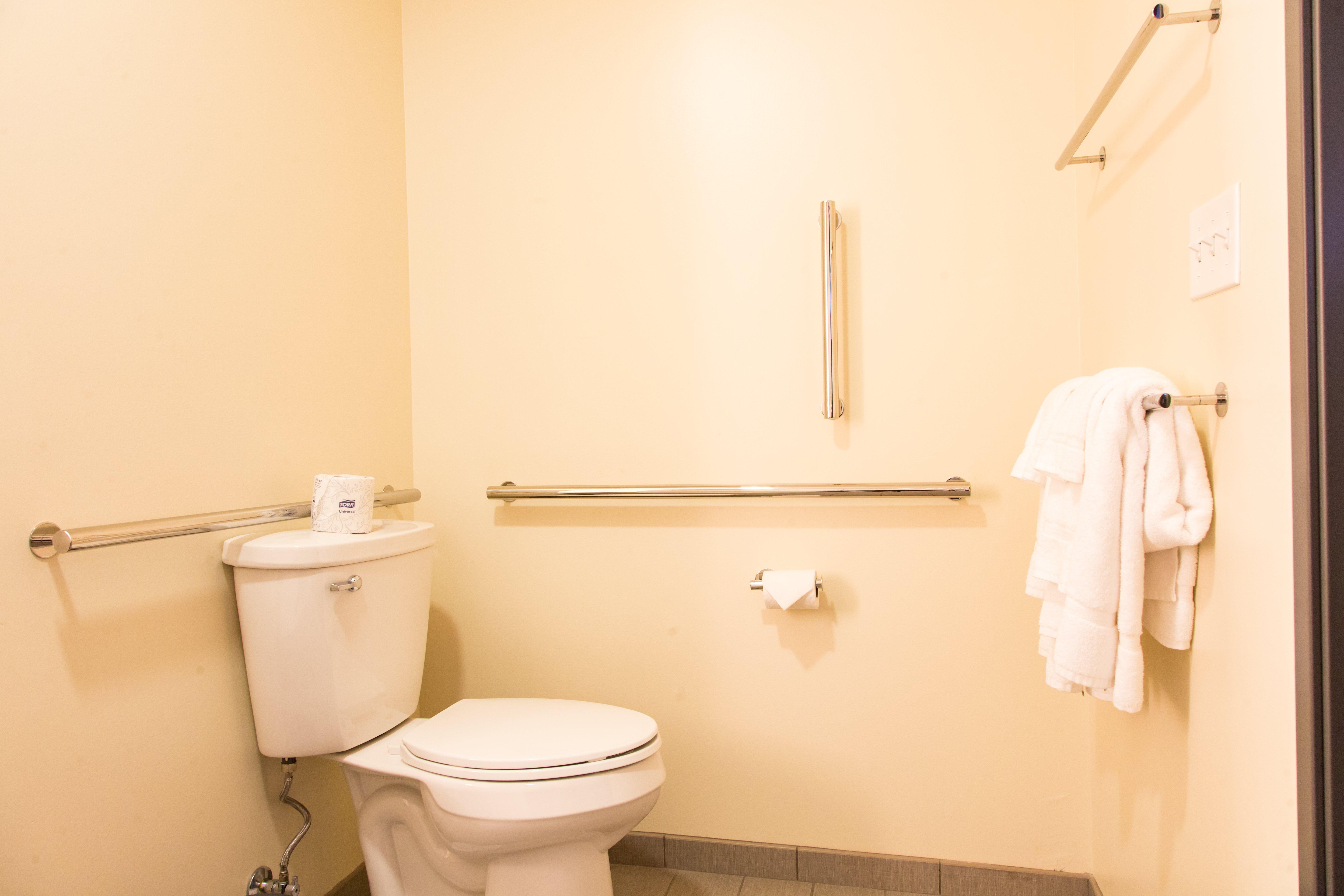 Holiday Inn Hotel & Suites - Mount Pleasant By Ihg מראה חיצוני תמונה